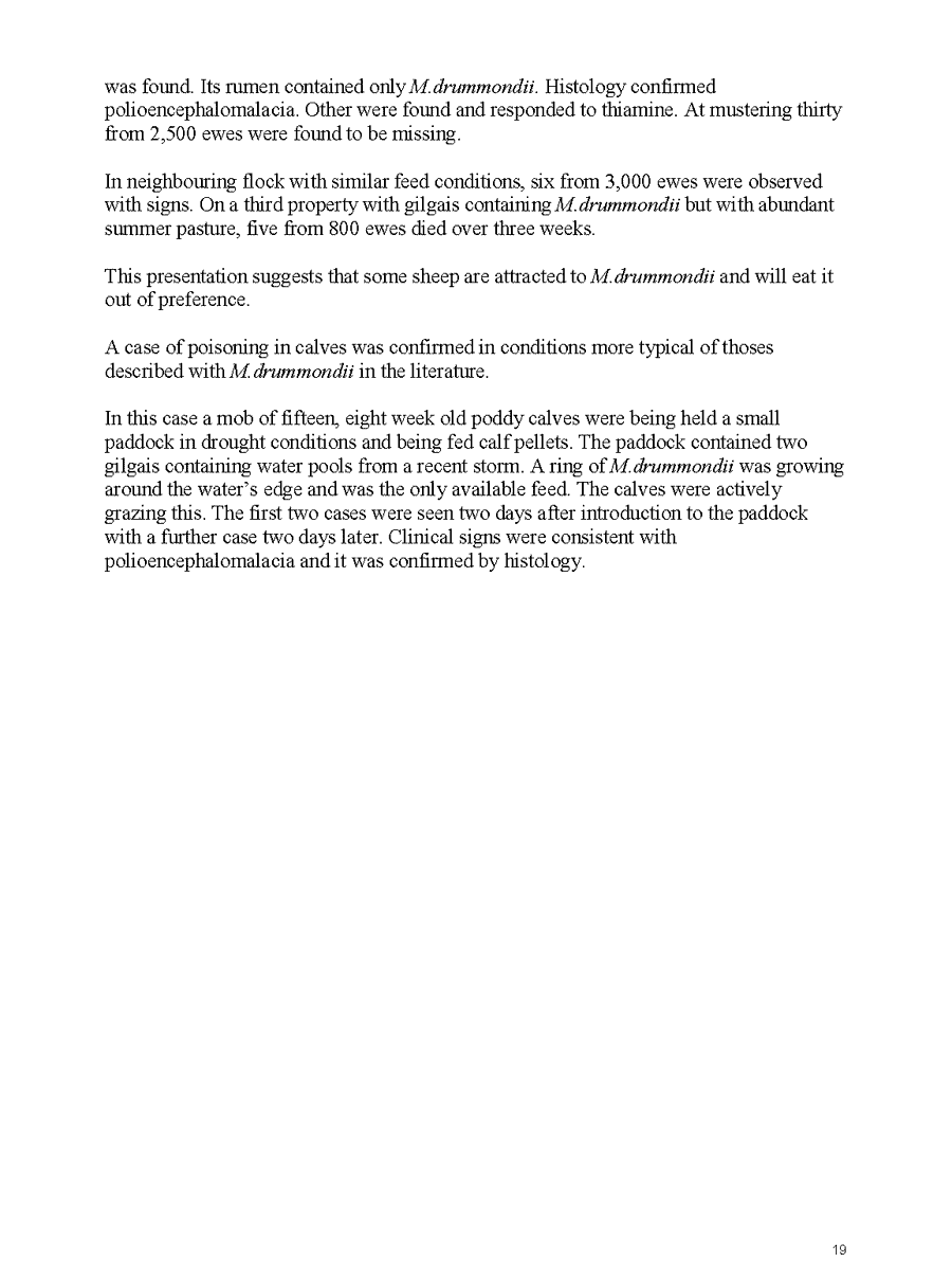 2005 page 19